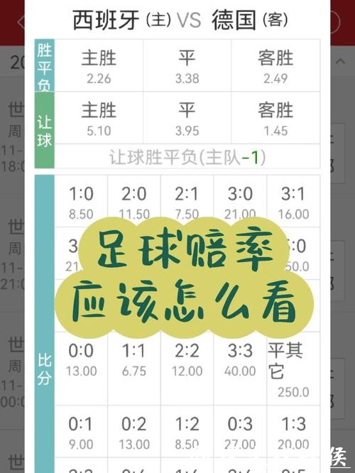 世界杯让球站：赛事分析与赔率指南